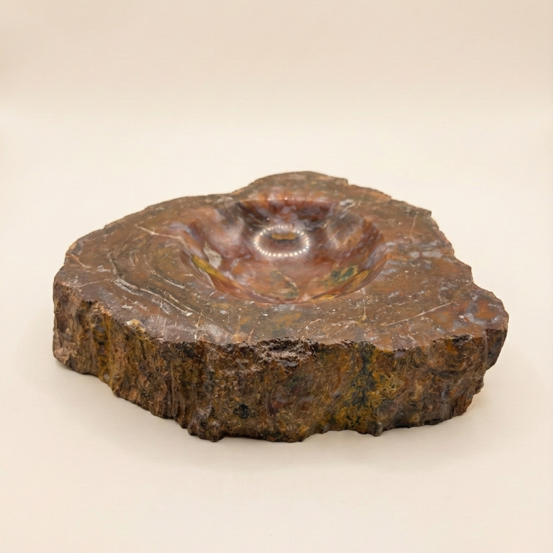 Petrified Wood Nut Bowl